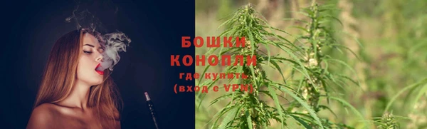 сатива Сатка